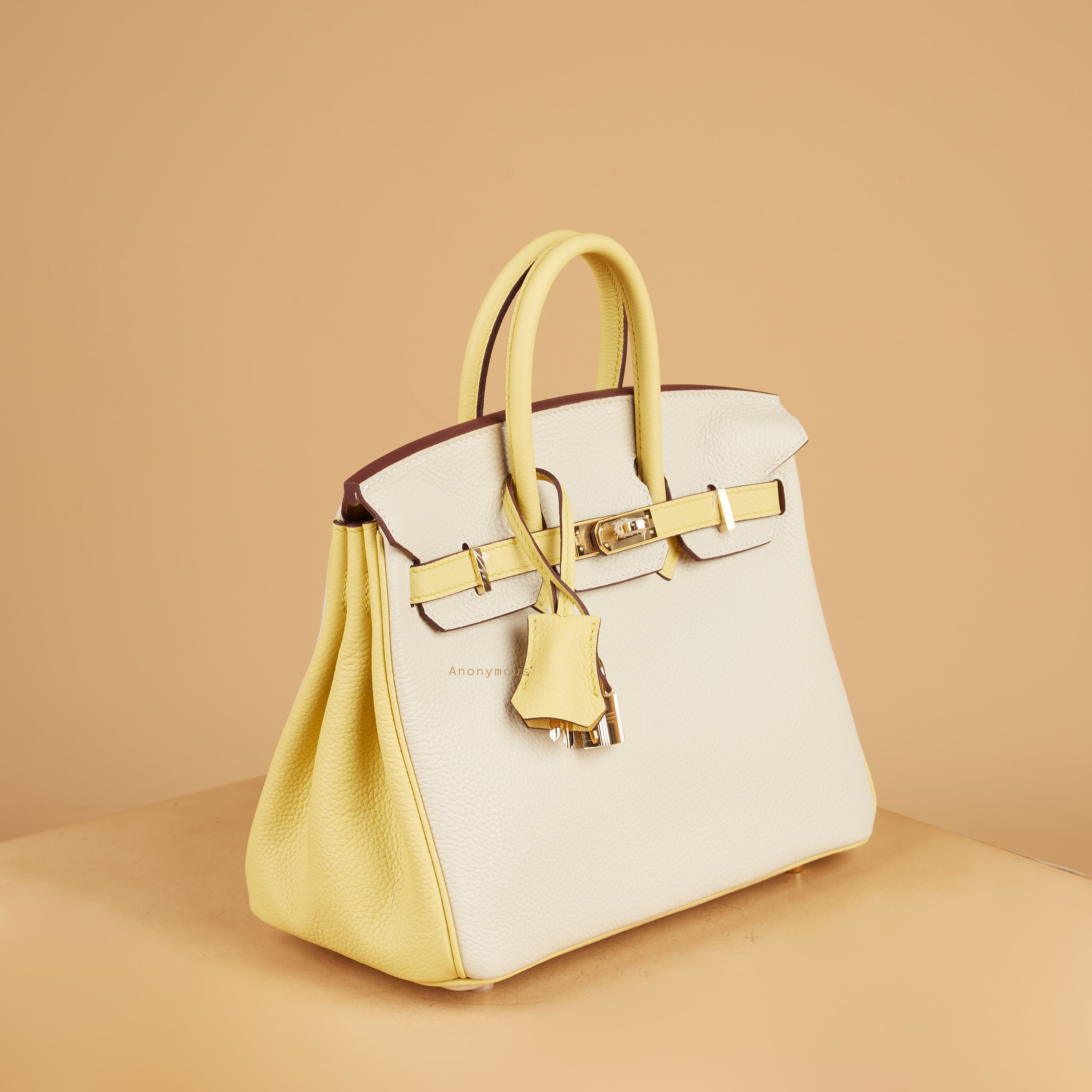 Anonymous Bebe 25 #2 Tones Togo Leather (Tas Kulit)