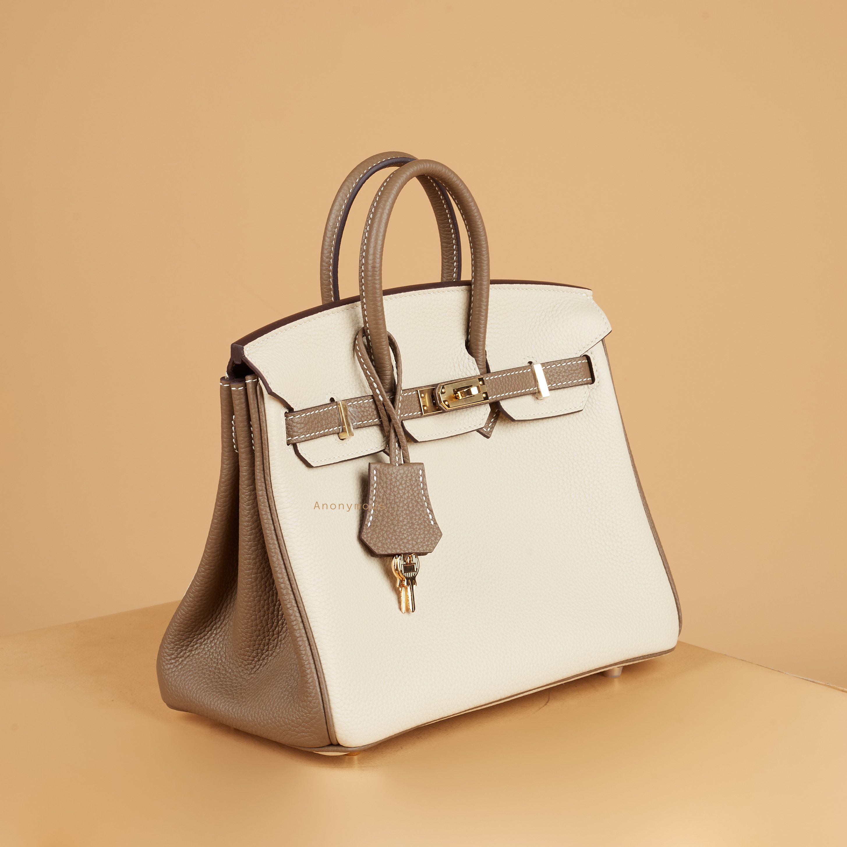 Anonymous Bebe 25 #2 Tones Togo Leather (Tas Kulit)