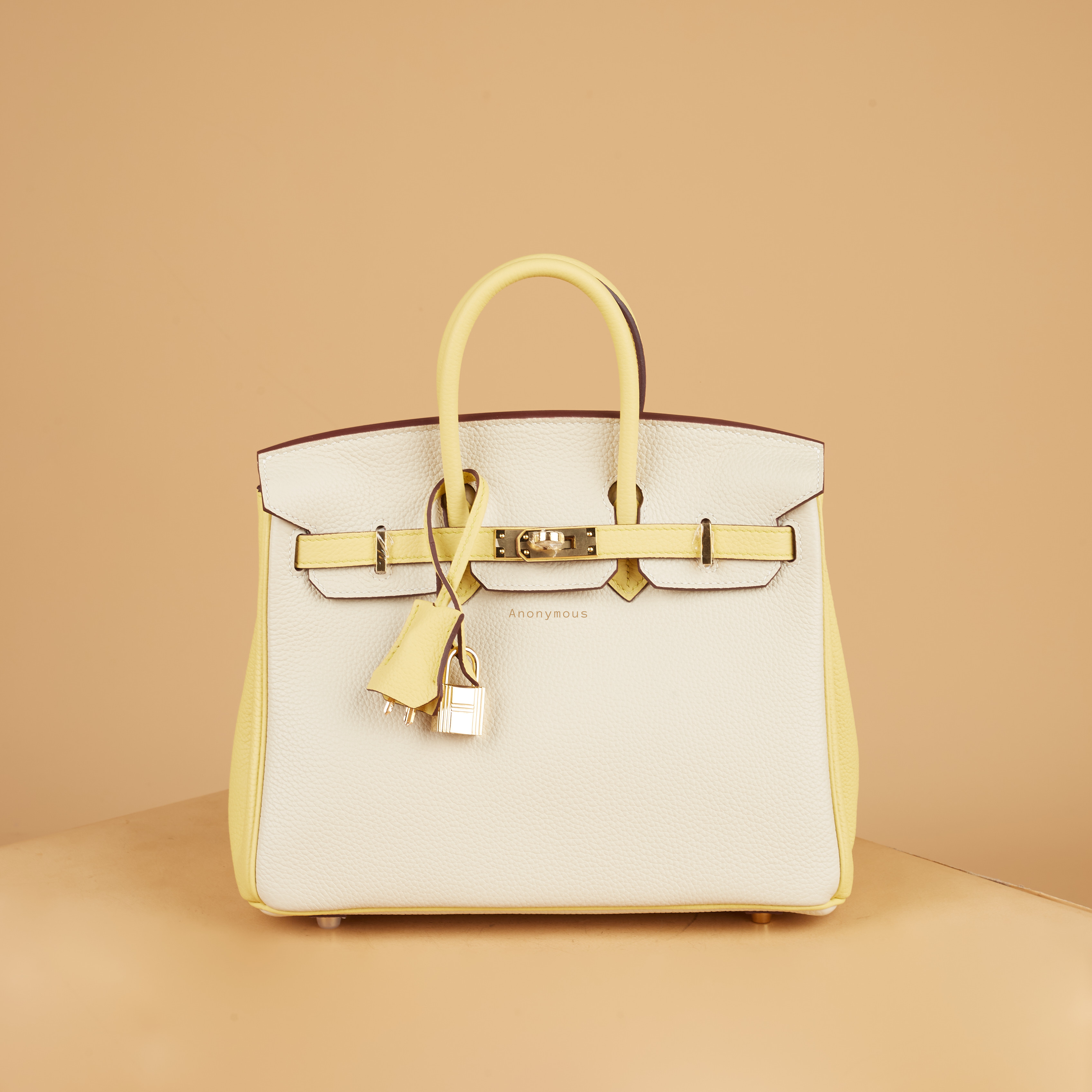 Anonymous Bebe 25 #2 Tones Togo Leather (Tas Kulit)